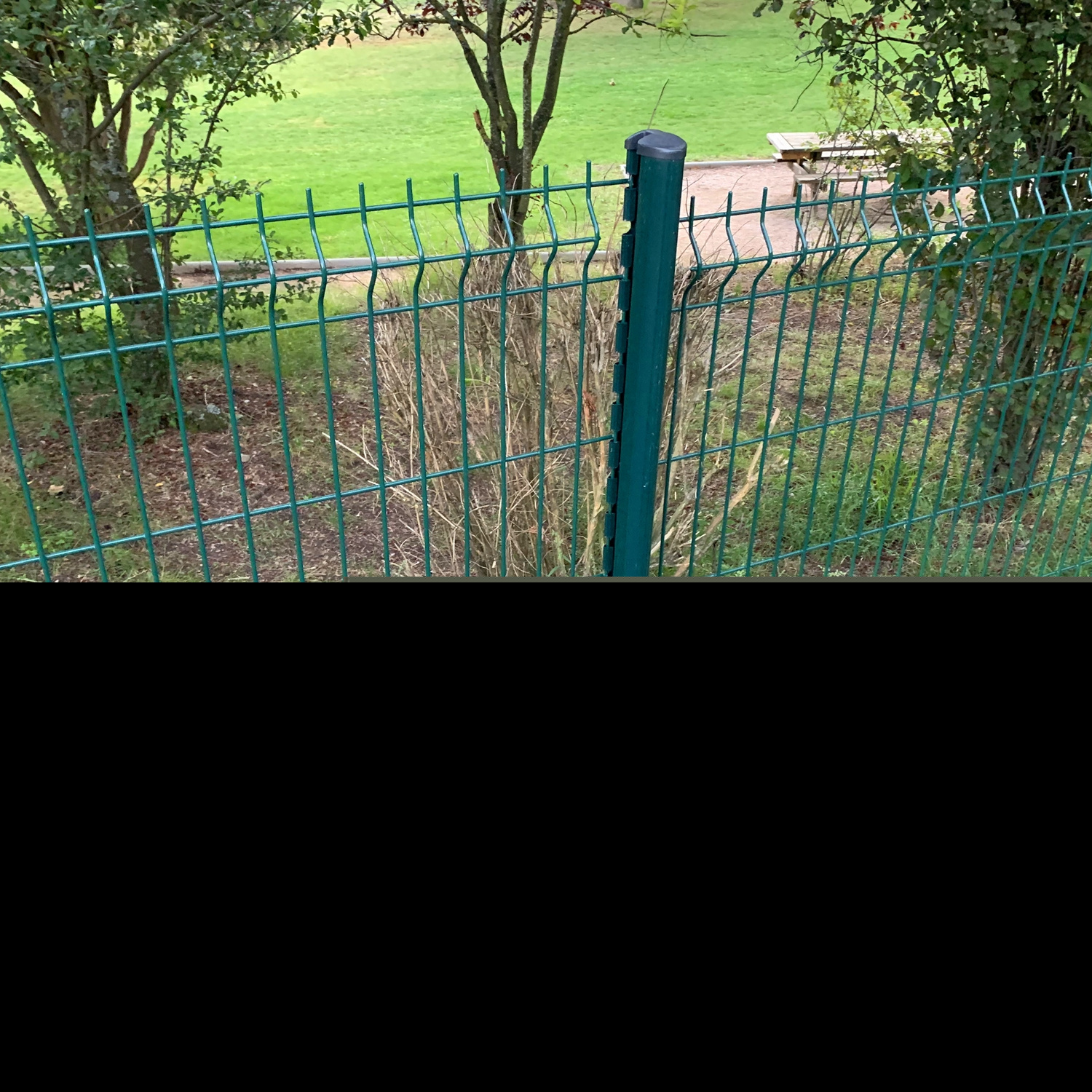 IMG_9076.jpg IMG_9076.jpg